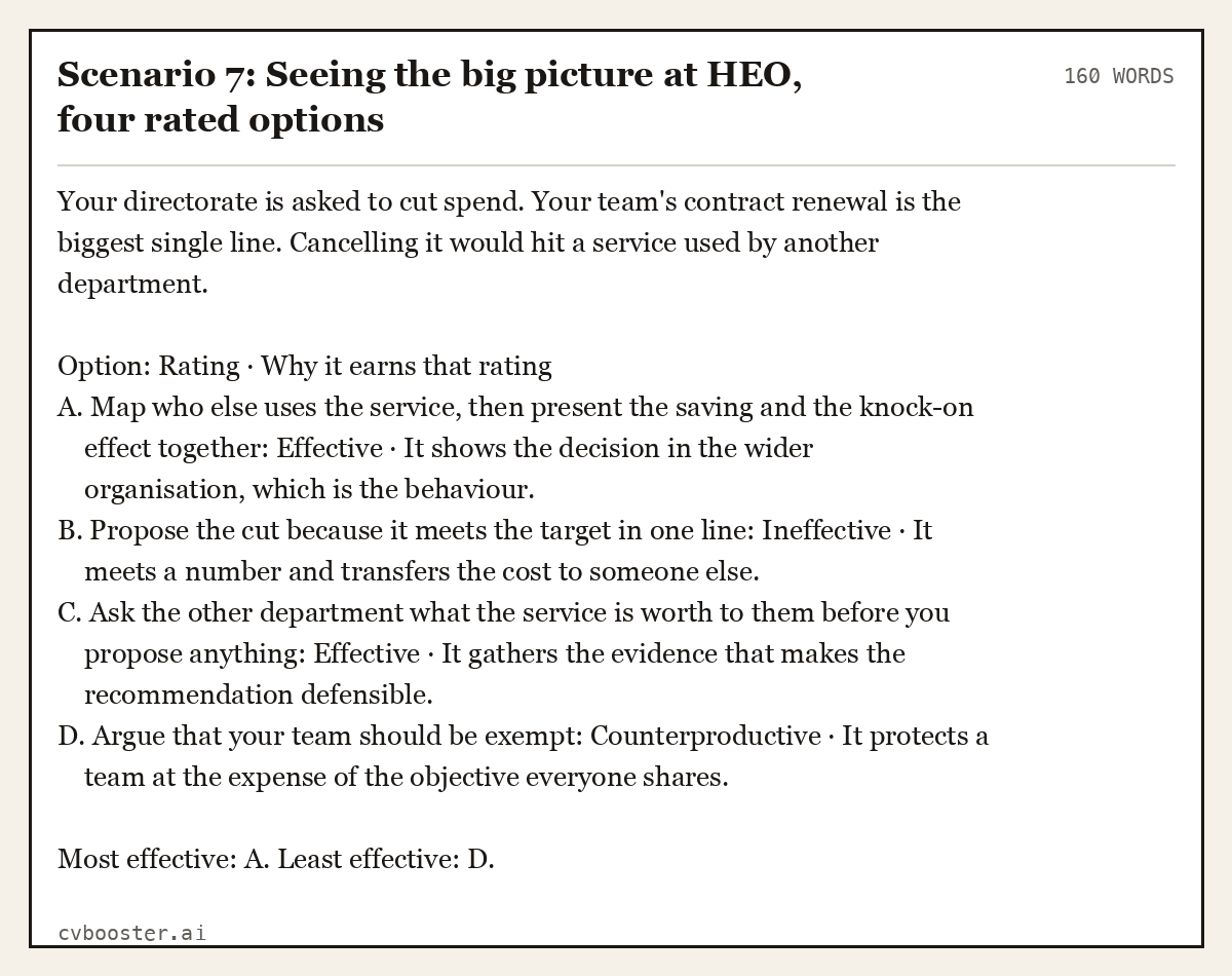 Complete Scenario 7: Seeing the big picture at HEO, four rated options example, 160 words, laid out as it would sit in the application form