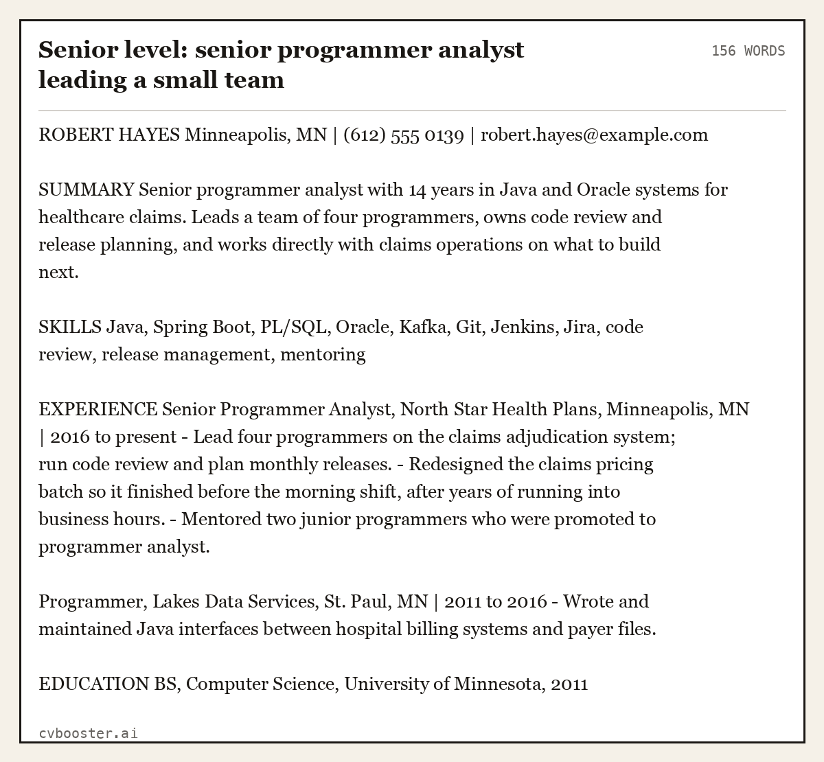 Complete Senior level: senior programmer analyst leading a small team example, 156 words, laid out as it would sit in the application form