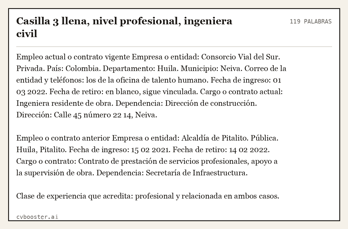 Ejemplo completo: Casilla 3 llena, nivel profesional, ingeniera civil, 119 palabras