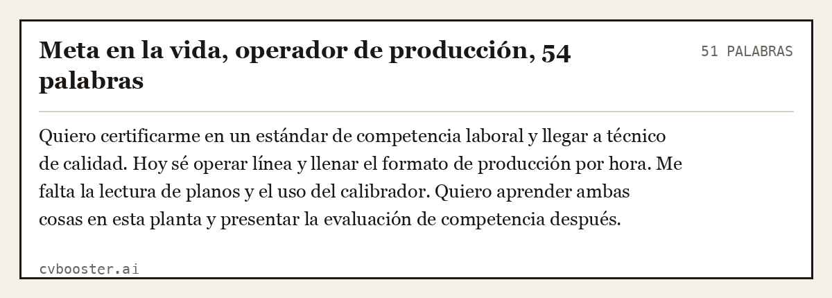 Ejemplo completo: Meta en la vida, operador de producción, 54 palabras, 51 palabras