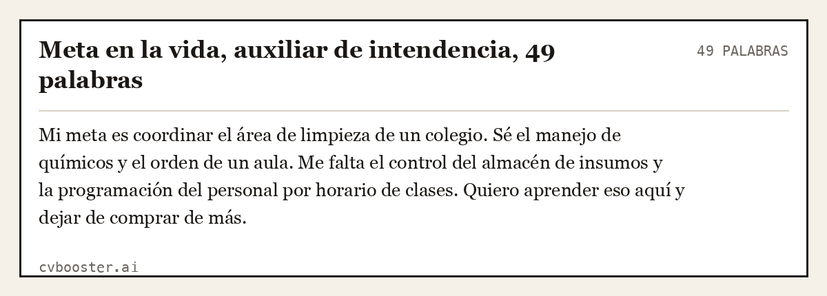 Ejemplo completo: Meta en la vida, auxiliar de intendencia, 49 palabras, 49 palabras