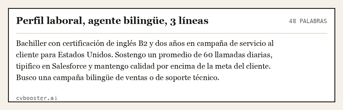 Ejemplo completo: Perfil laboral, agente bilingüe, 3 líneas, 48 palabras