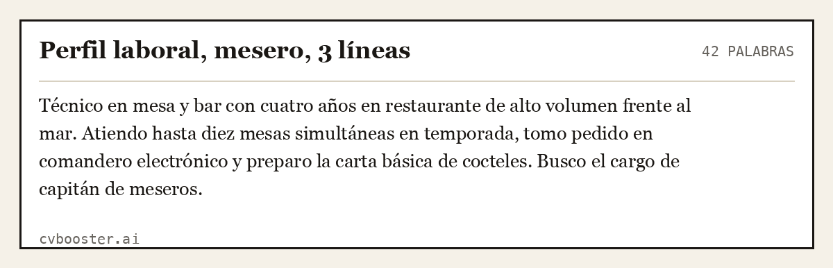 Ejemplo completo: Perfil laboral, mesero, 3 líneas, 42 palabras