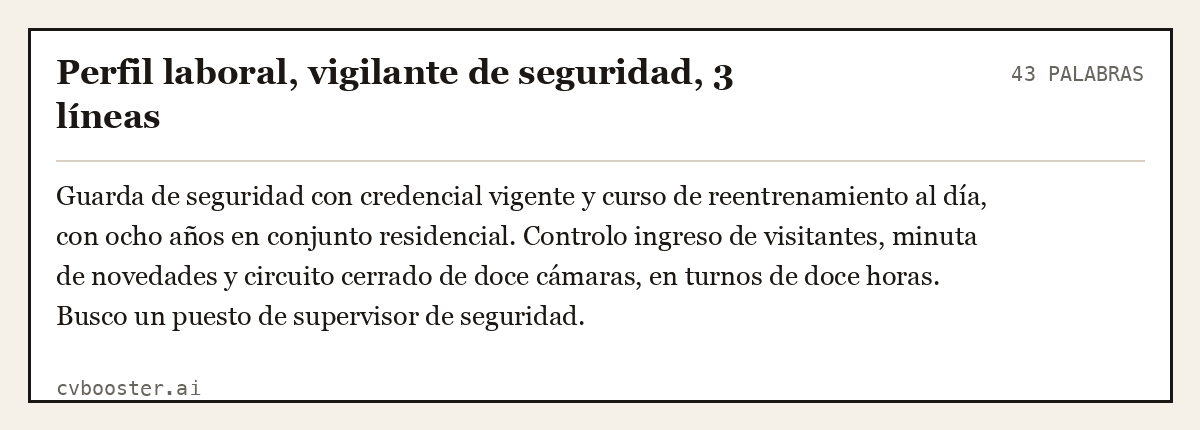 Ejemplo completo: Perfil laboral, vigilante de seguridad, 3 líneas, 43 palabras