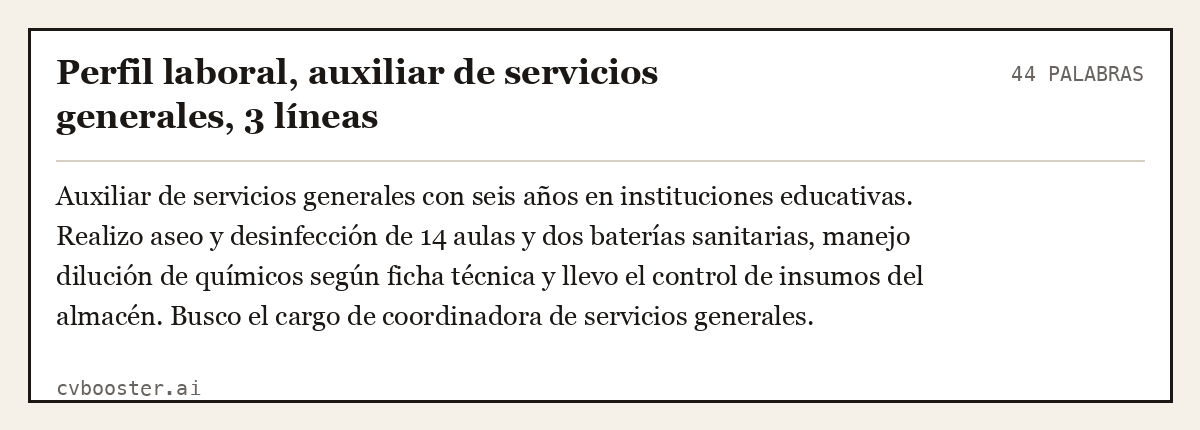 Ejemplo completo: Perfil laboral, auxiliar de servicios generales, 3 líneas, 44 palabras