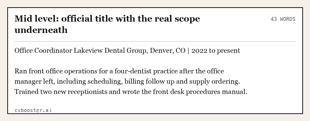 Complete Mid level: official title with the real scope underneath example, 43 words, laid out as it would sit in the application form