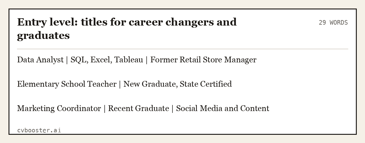 Complete Entry level: titles for career changers and graduates example, 29 words, laid out as it would sit in the application form