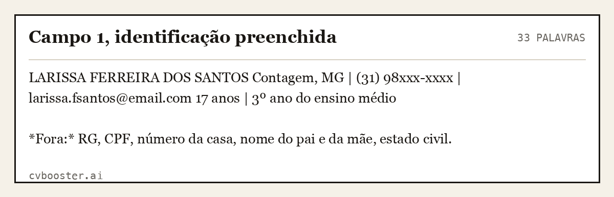 Exemplo completo: Campo 1, identificação preenchida, 33 palavras