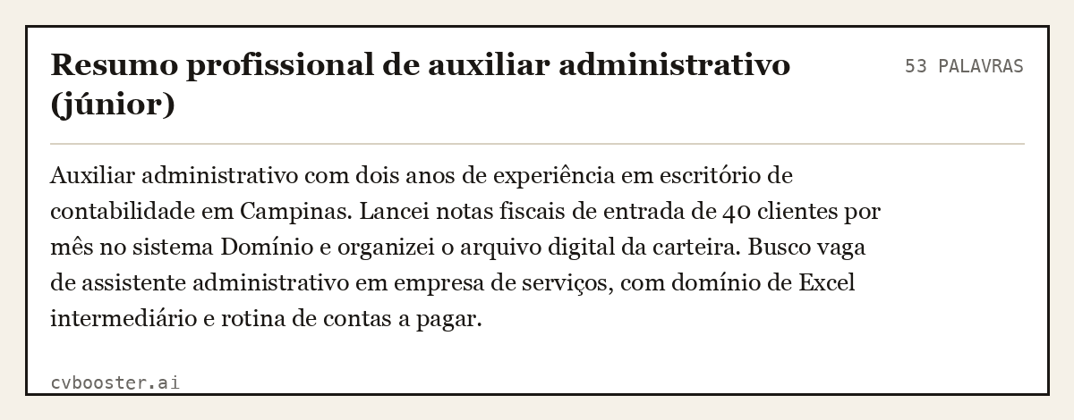 Exemplo completo: Resumo profissional de auxiliar administrativo (júnior), 53 palavras