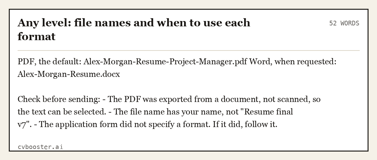 Complete Any level: file names and when to use each format example, 52 words, laid out as it would sit in the application form