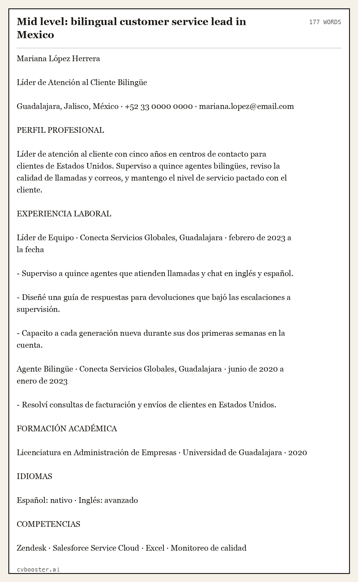Complete Mid level: bilingual customer service lead in Mexico example, 177 words, laid out as it would sit in the application form