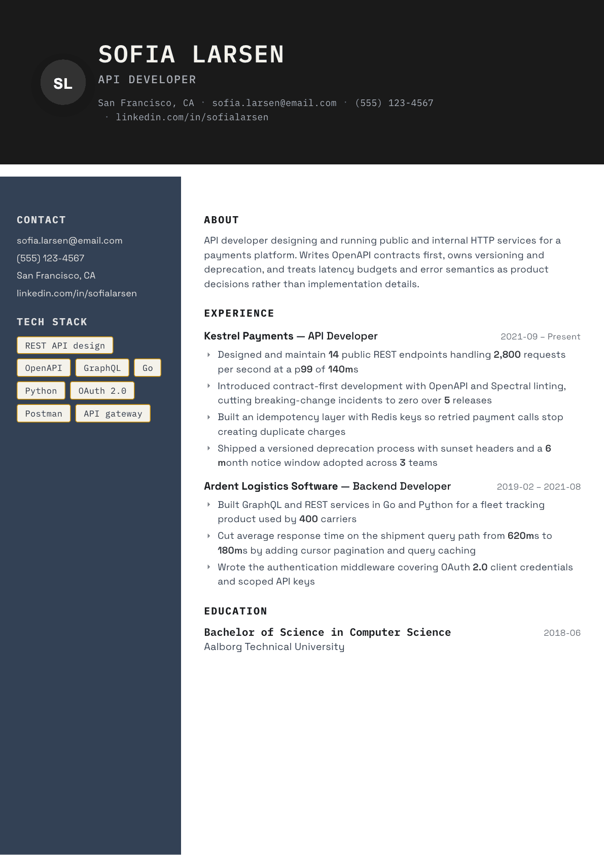 API Developer resume example, Codebase template