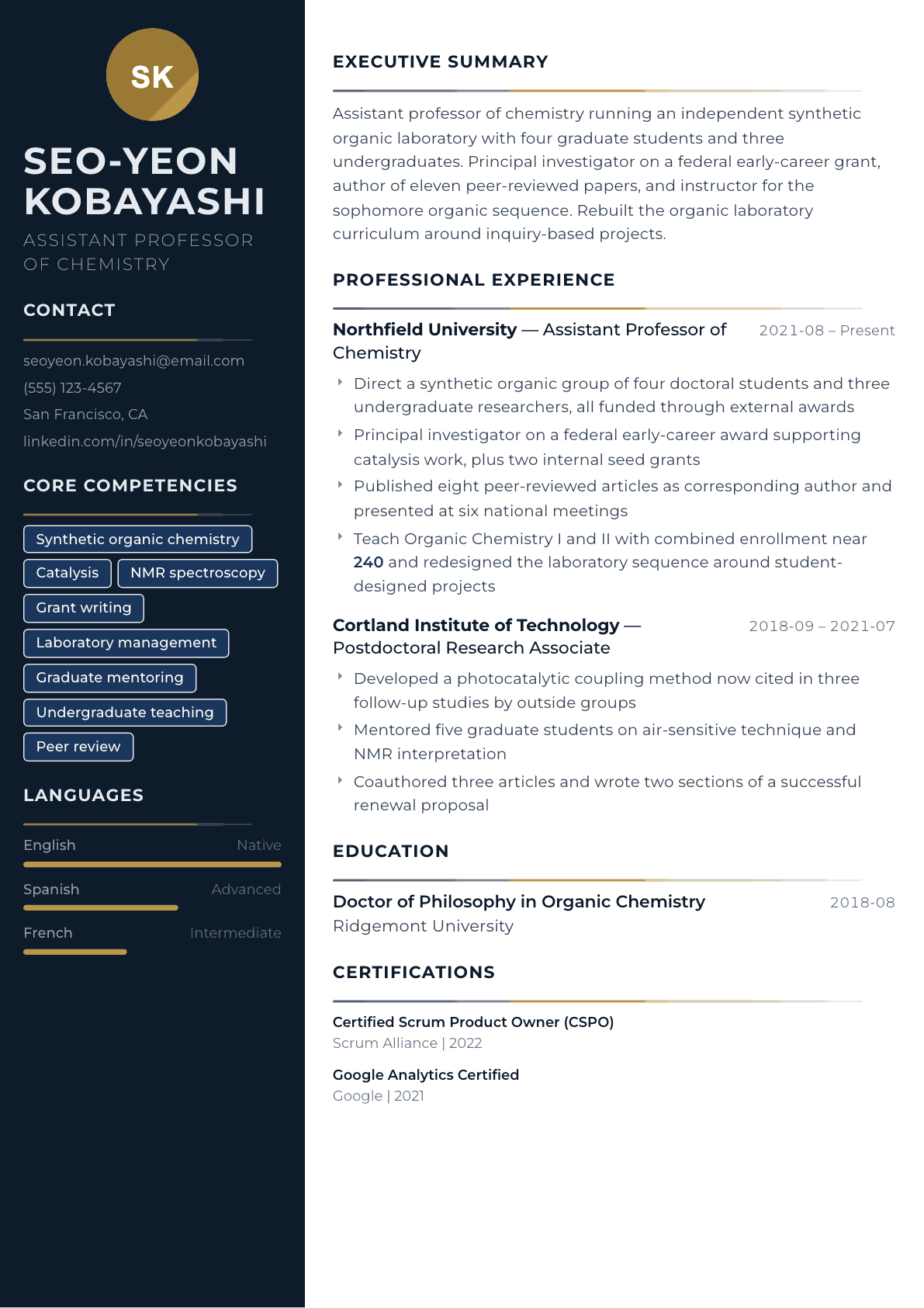 Assistant Professor resume example, Catalyst template