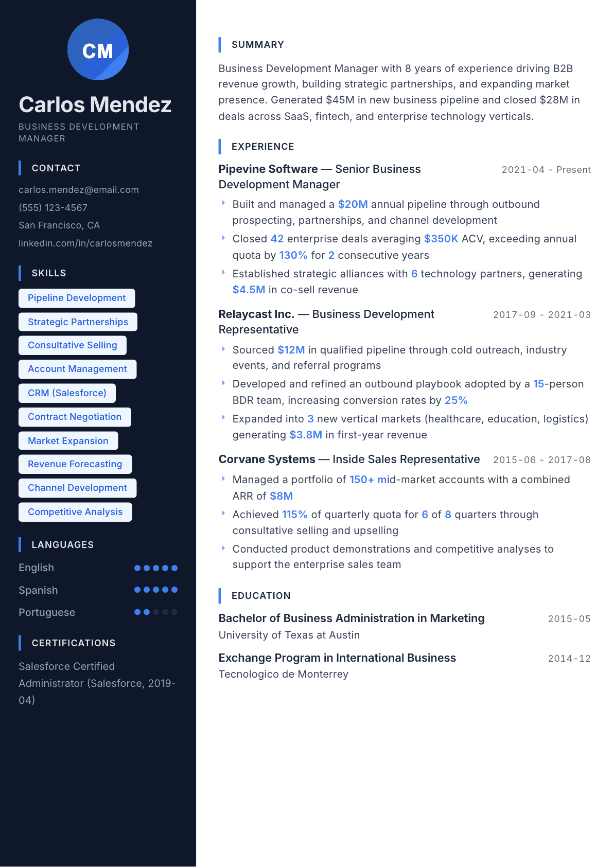 Business Development Manager resume example, Midnight Sapphire template