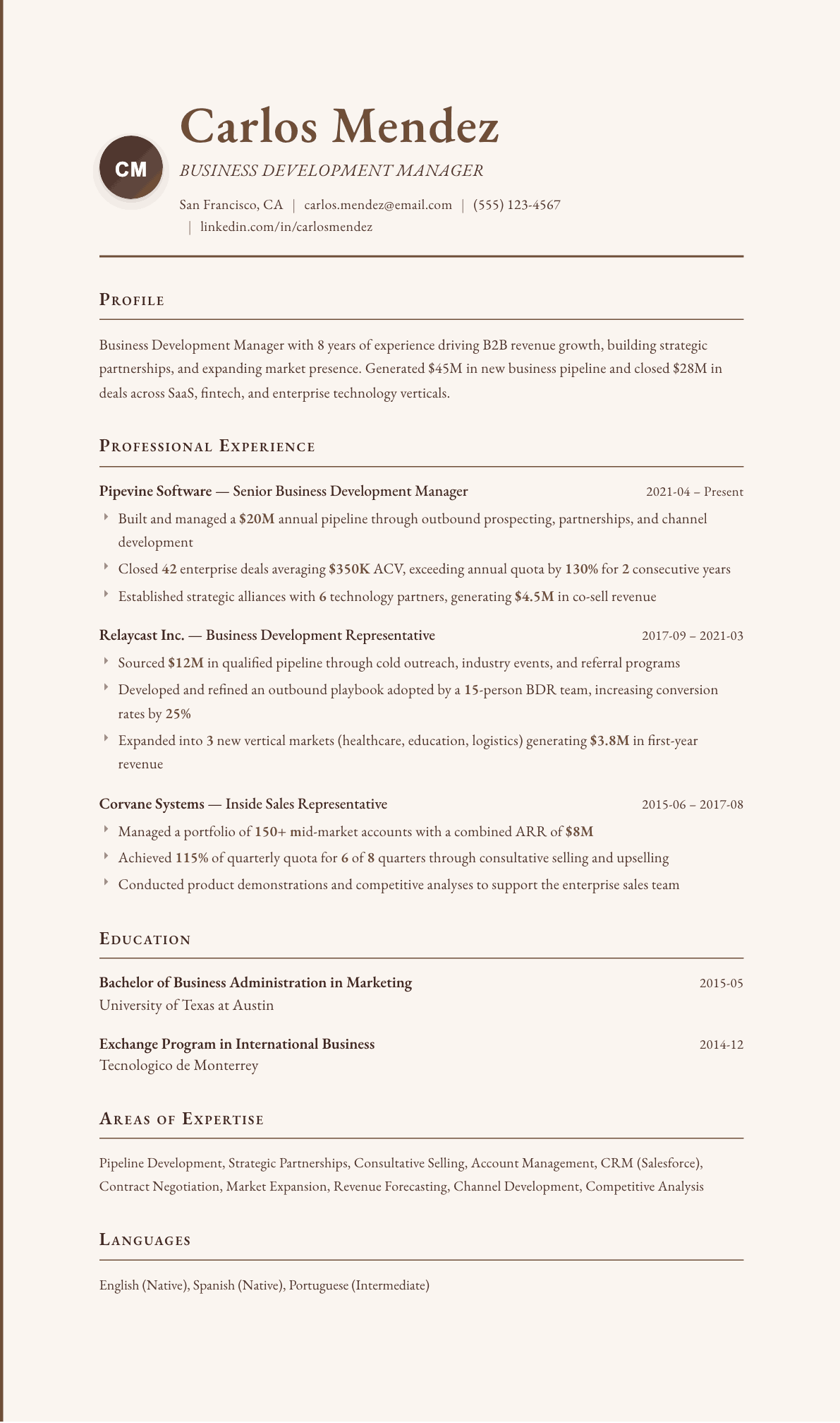 Business Development Manager resume example, Vintage template