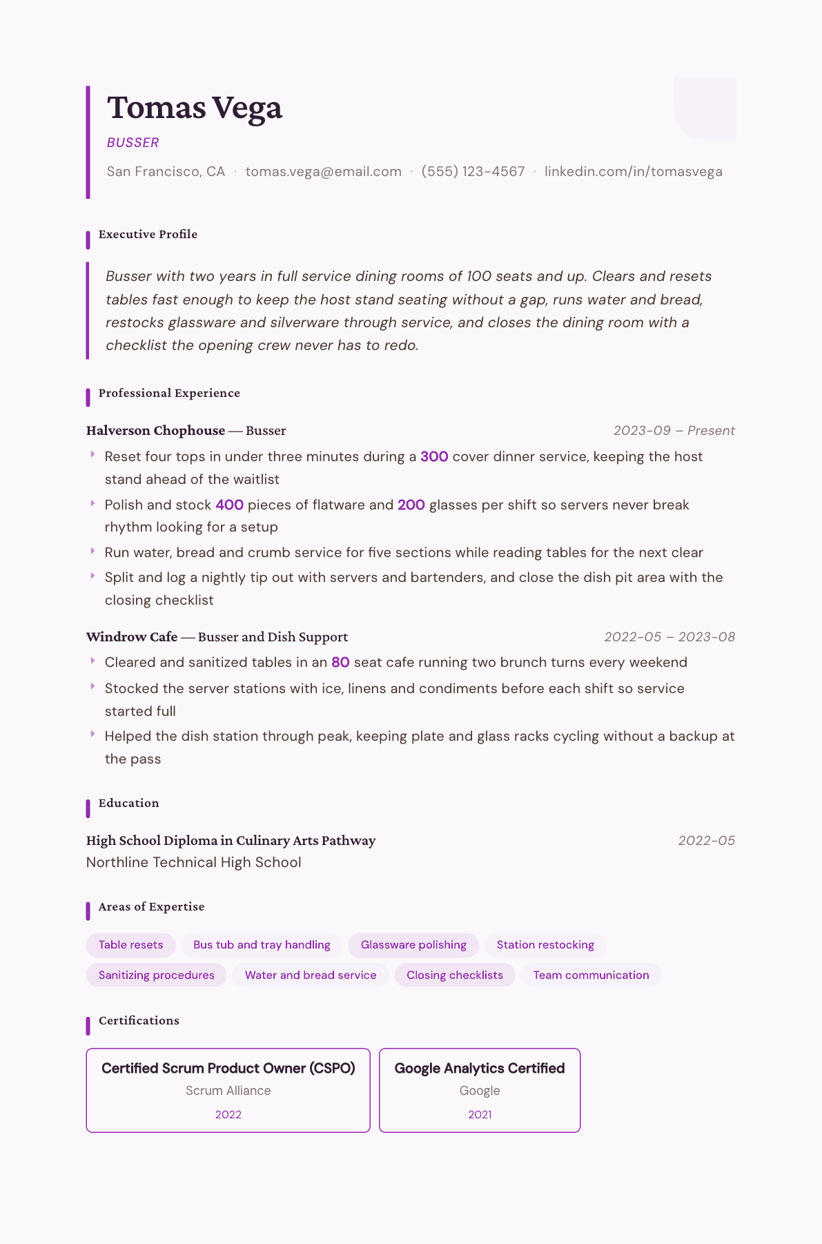 Busser resume example, Plum Noir template