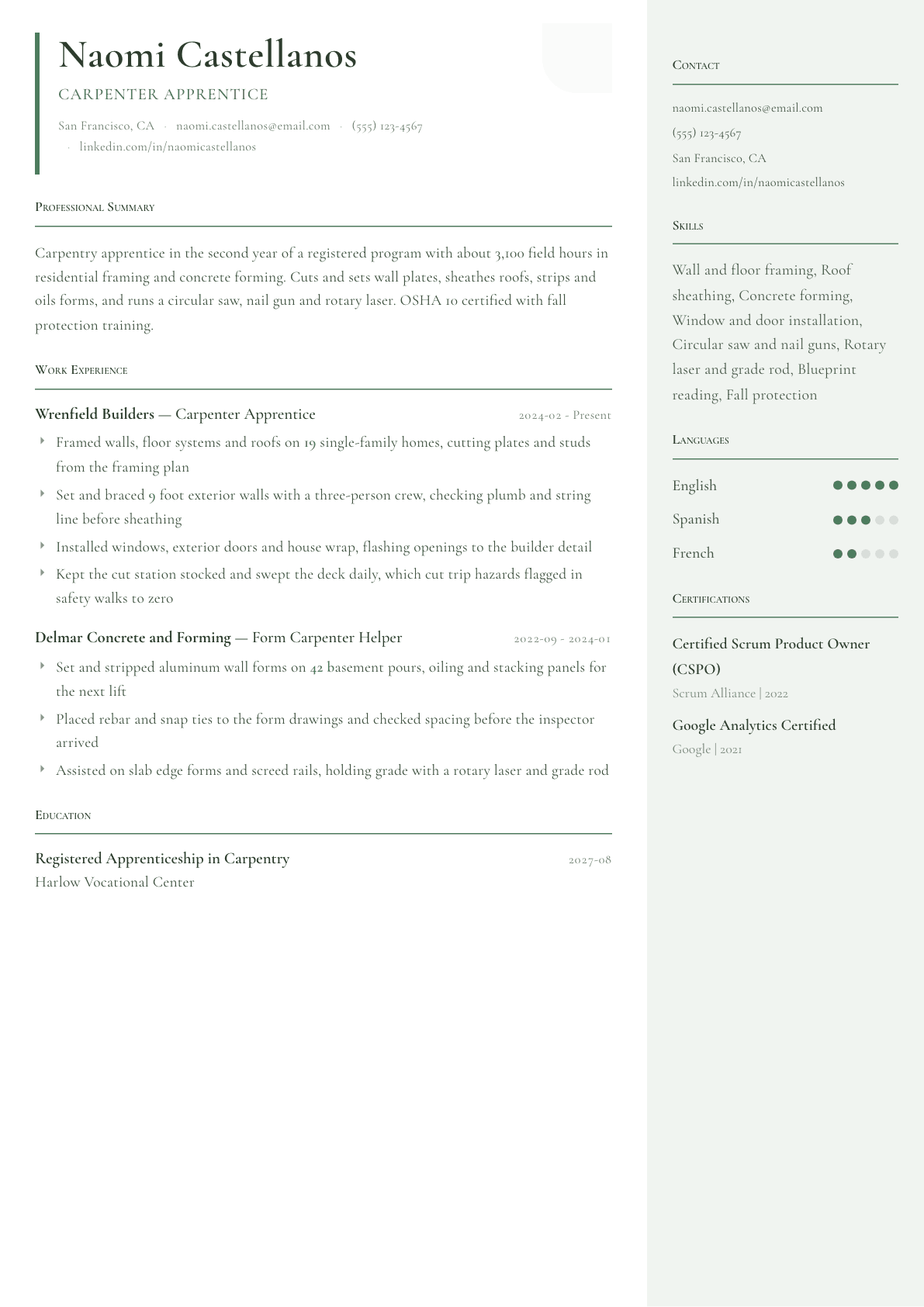 Carpenter Apprentice resume example, Copenhagen template