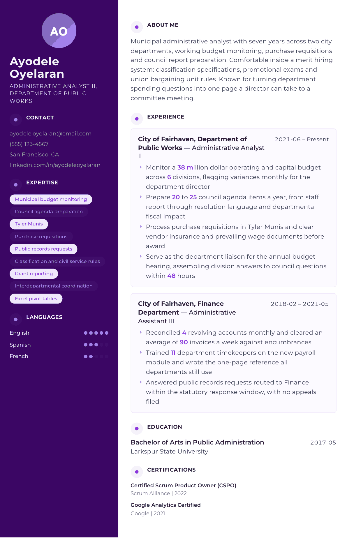 City Employee resume example, Palette template