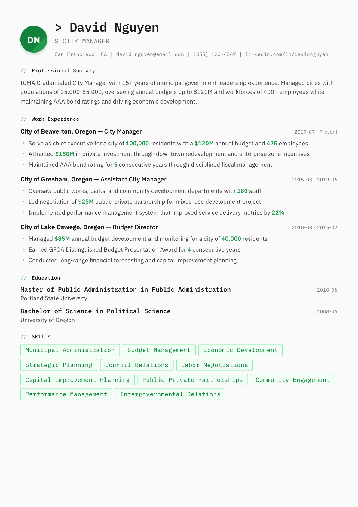 City Manager resume example, Amsterdam template