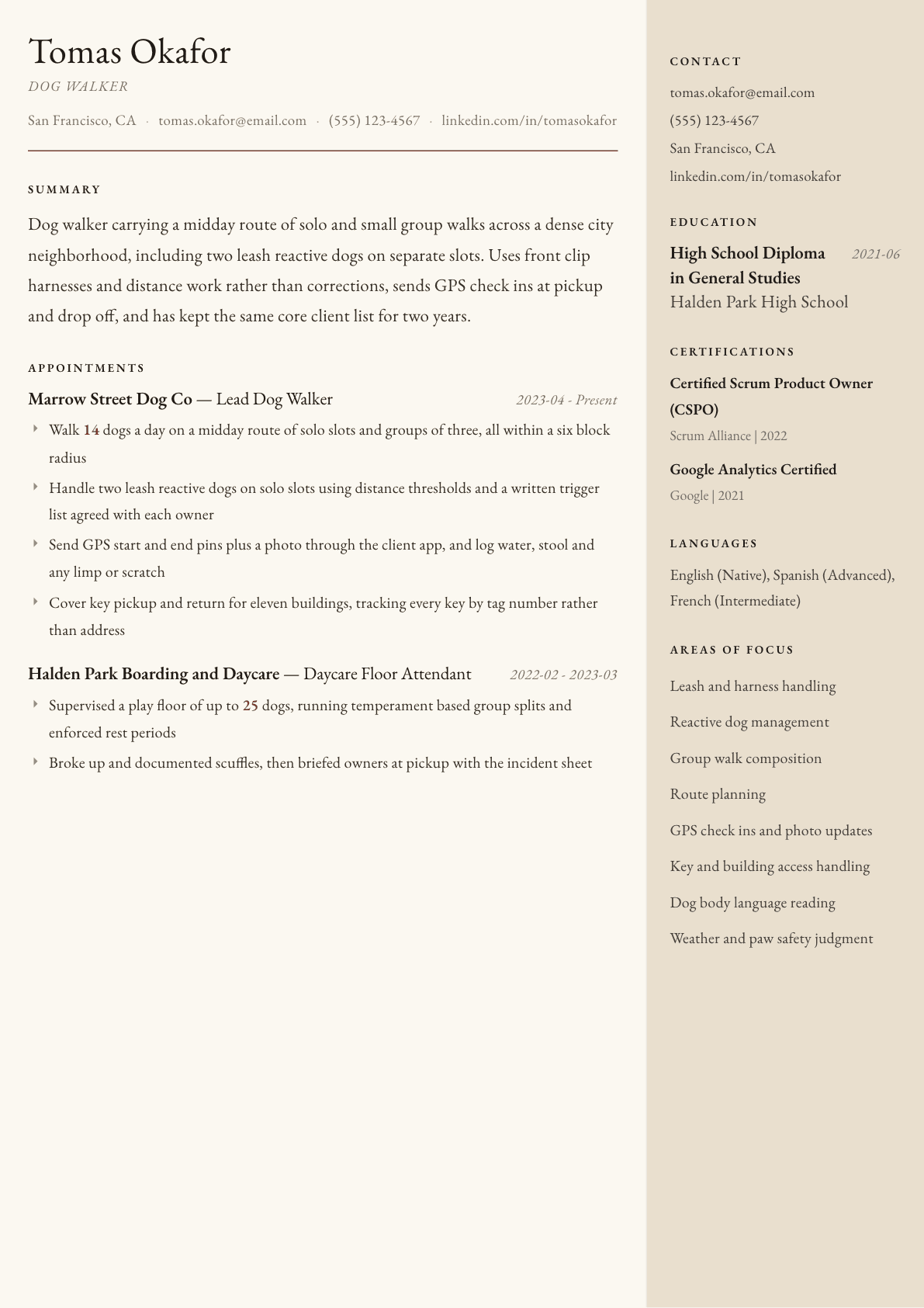 Dog Walker resume example, Manuscript template