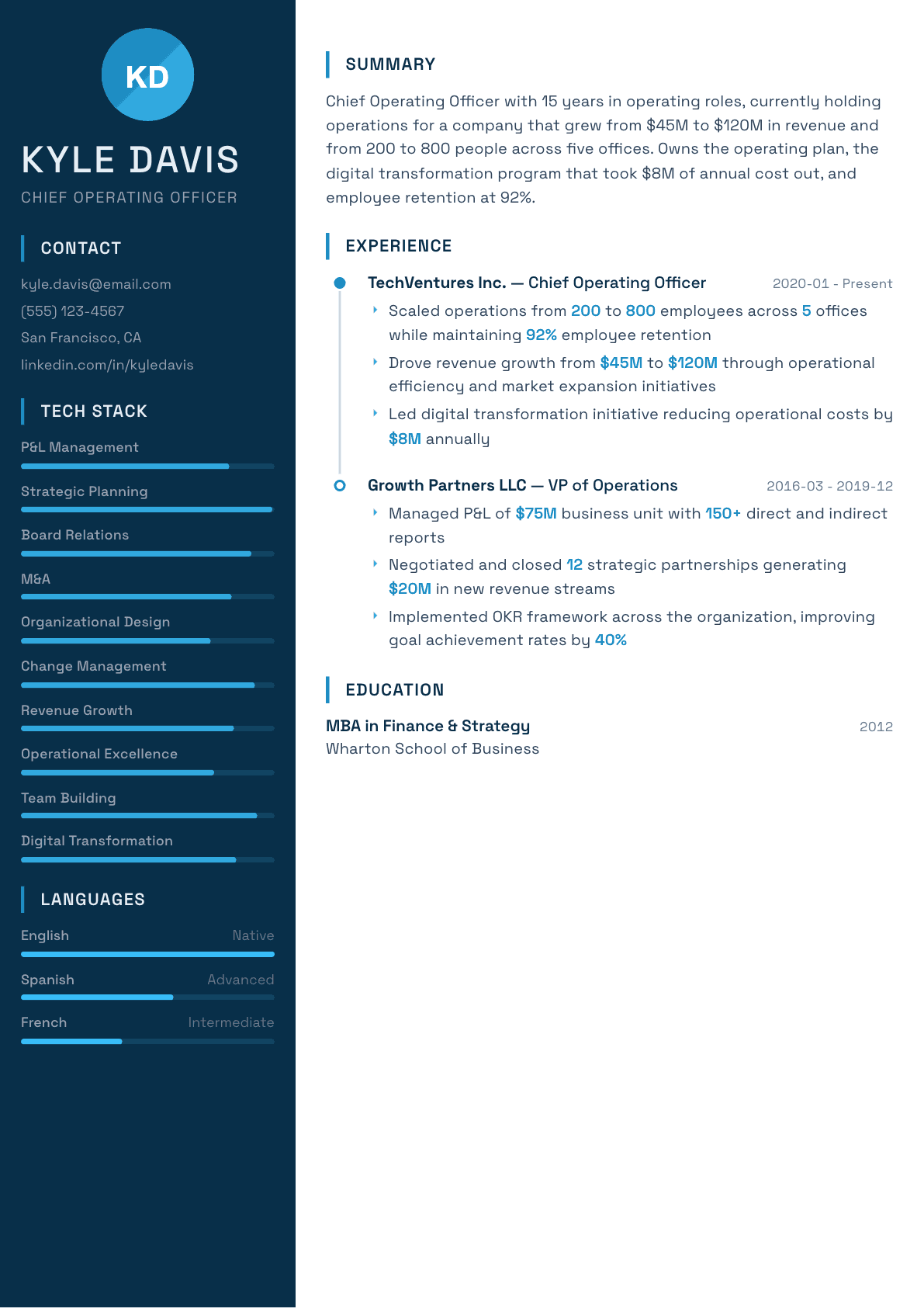 Executive resume example, Circuit template