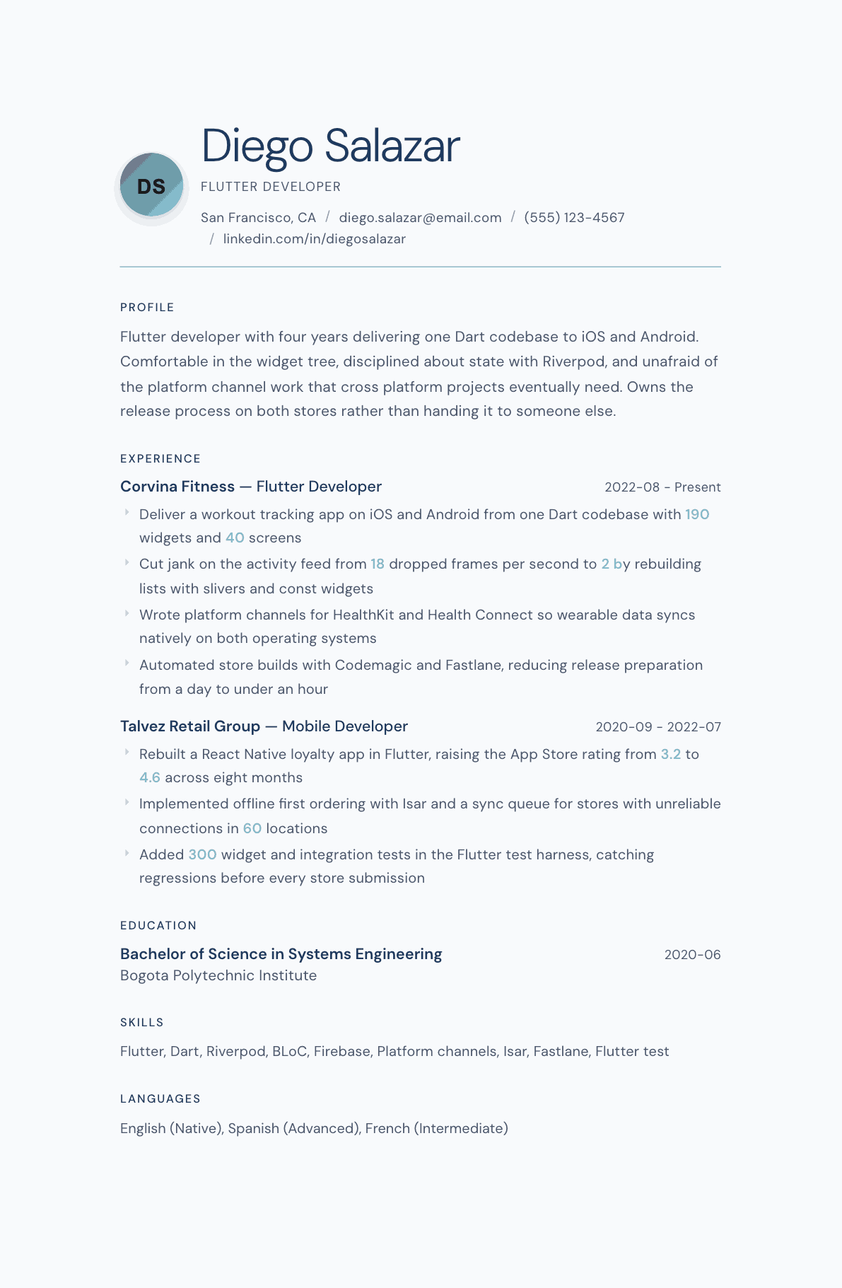 Flutter Developer resume example, Nordic Frost template