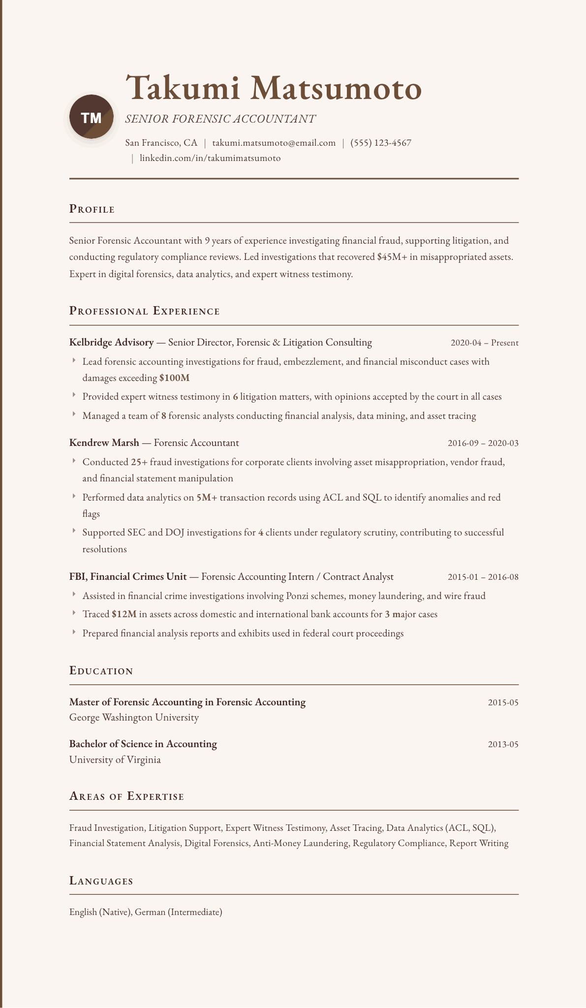 Forensic Accountant resume example, Vintage template
