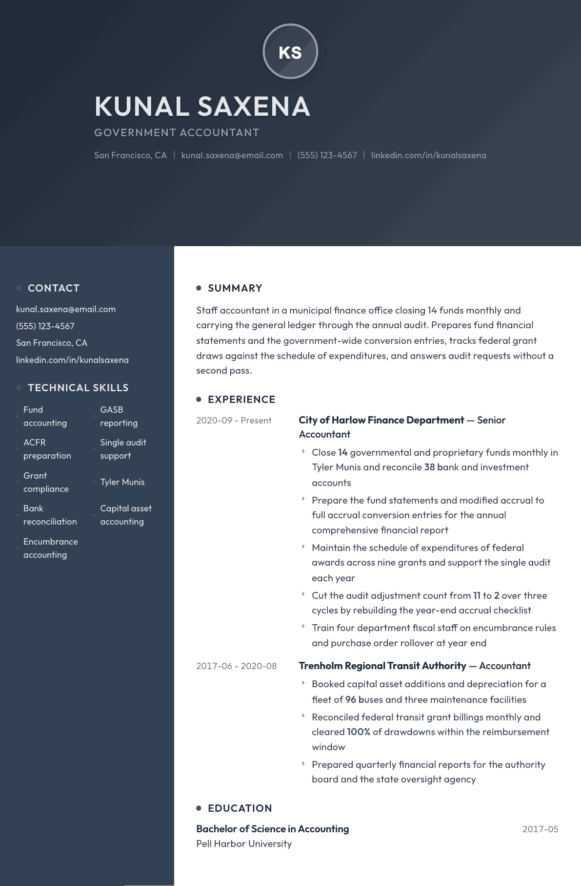 Government Accountant resume example, Binary template