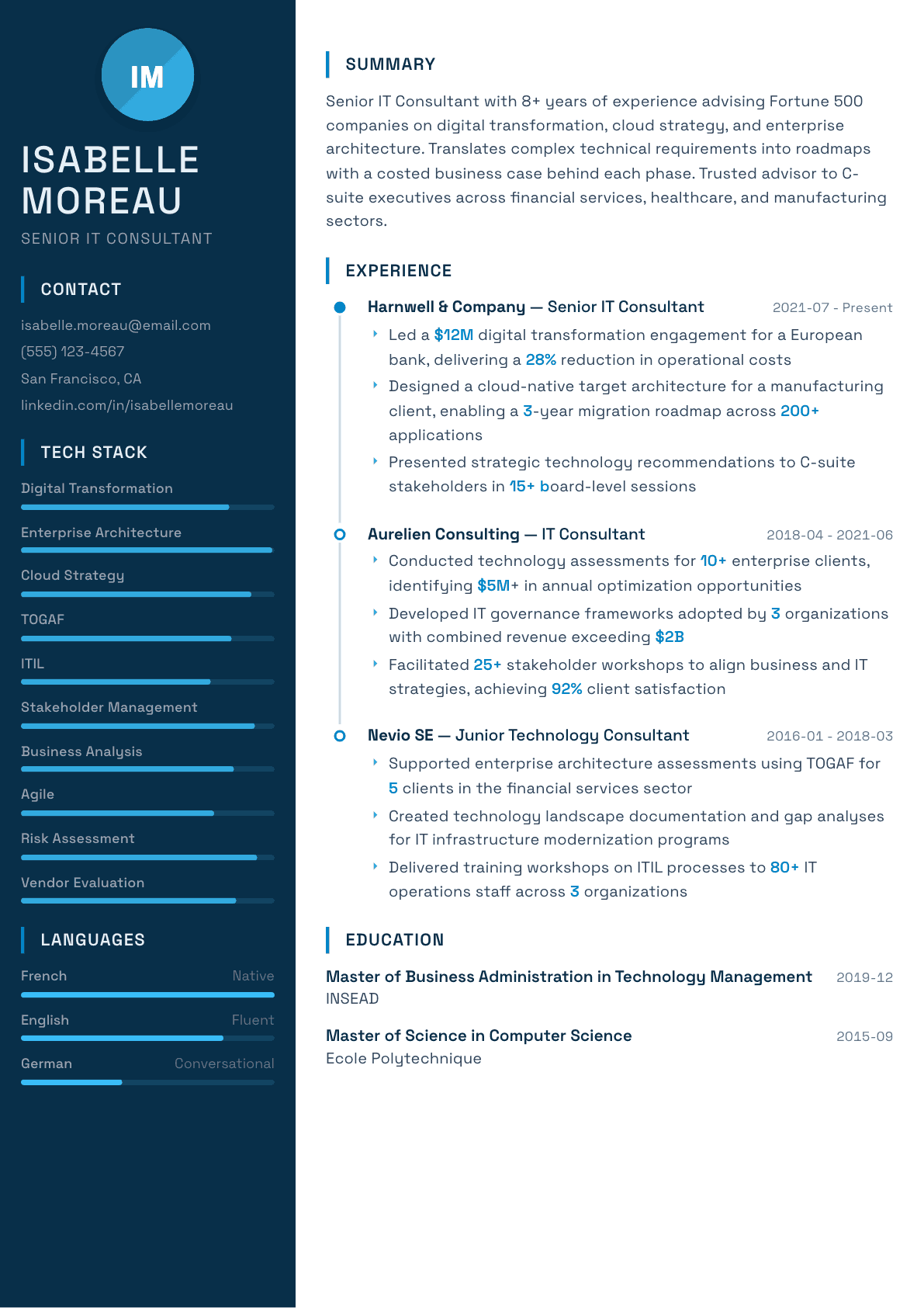 IT Consultant resume example, Circuit template