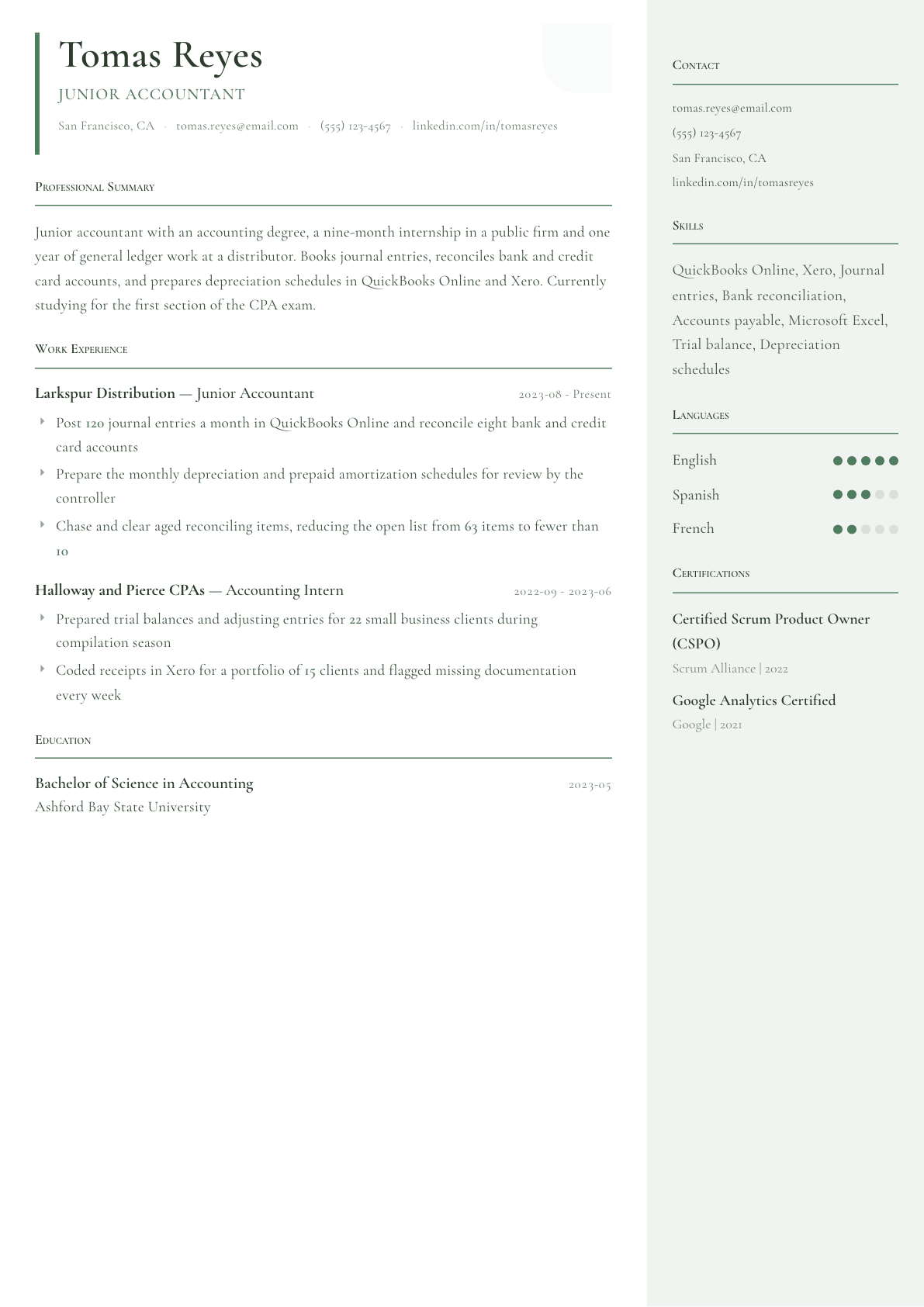 Junior Accountant resume example, Copenhagen template