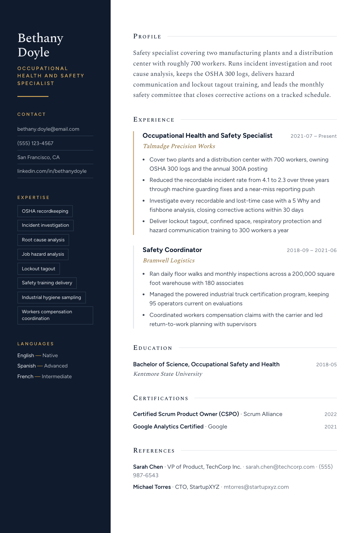 Occupational Health and Safety Specialist resume example, Nocturne template