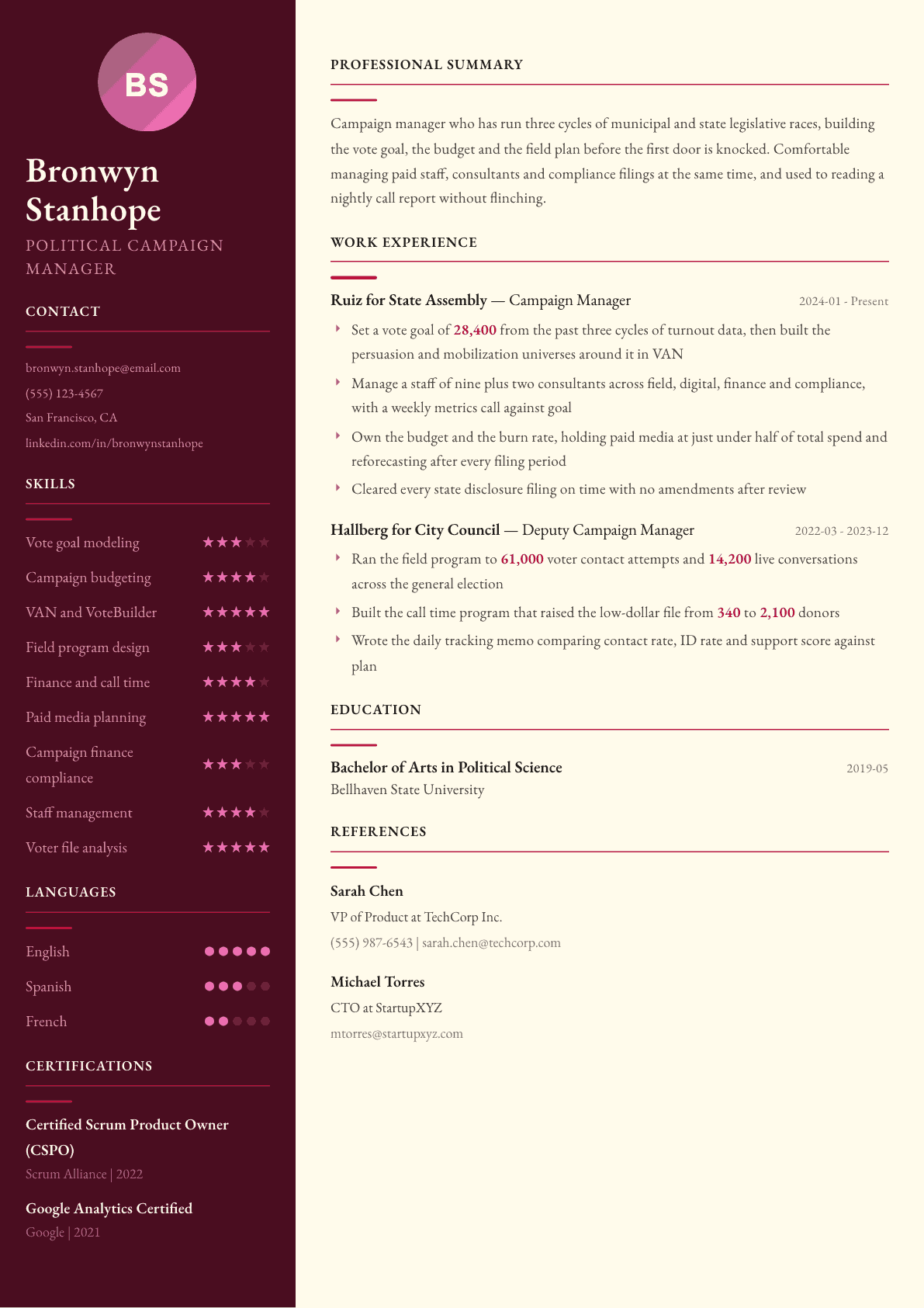 Political Campaign Manager resume example, Dubai template