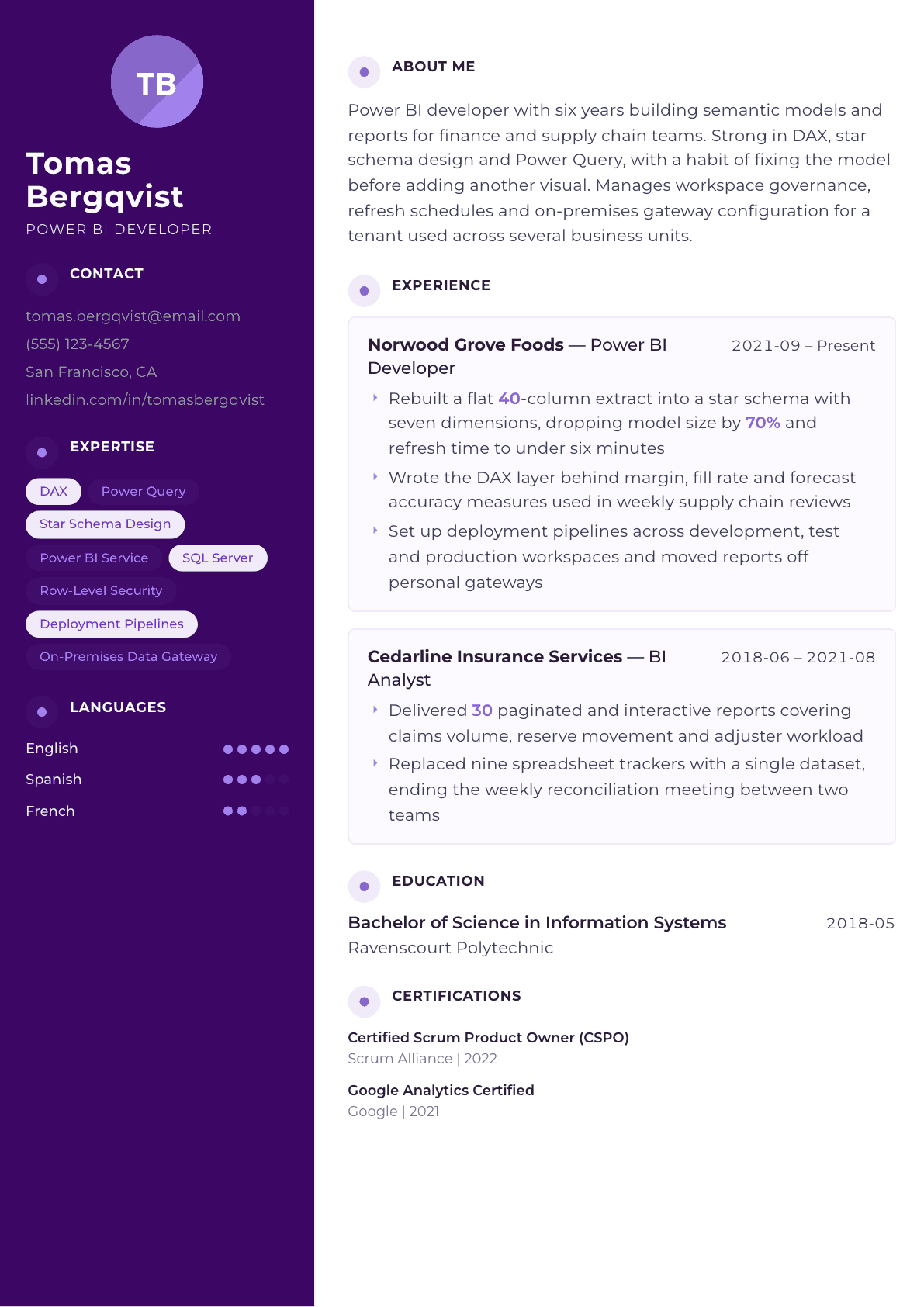 Power BI Developer resume example, Palette template