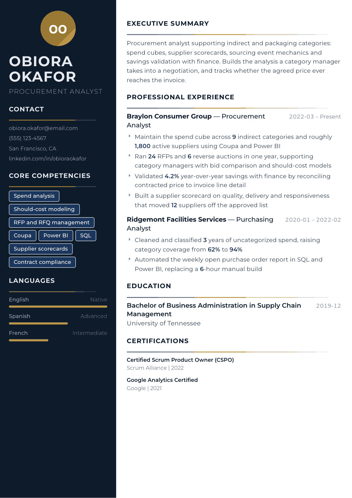 Procurement Analyst resume example, Catalyst template