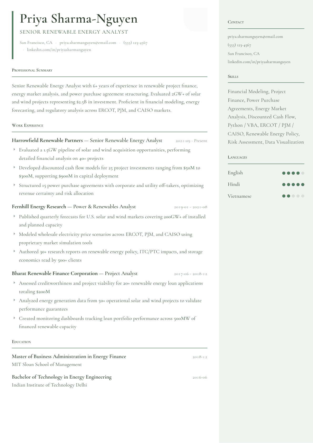 Renewable Energy Analyst resume example, Copenhagen template
