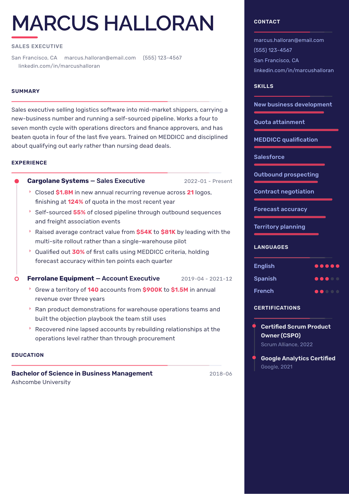 Sales Executive resume example, Obsidian Dark template
