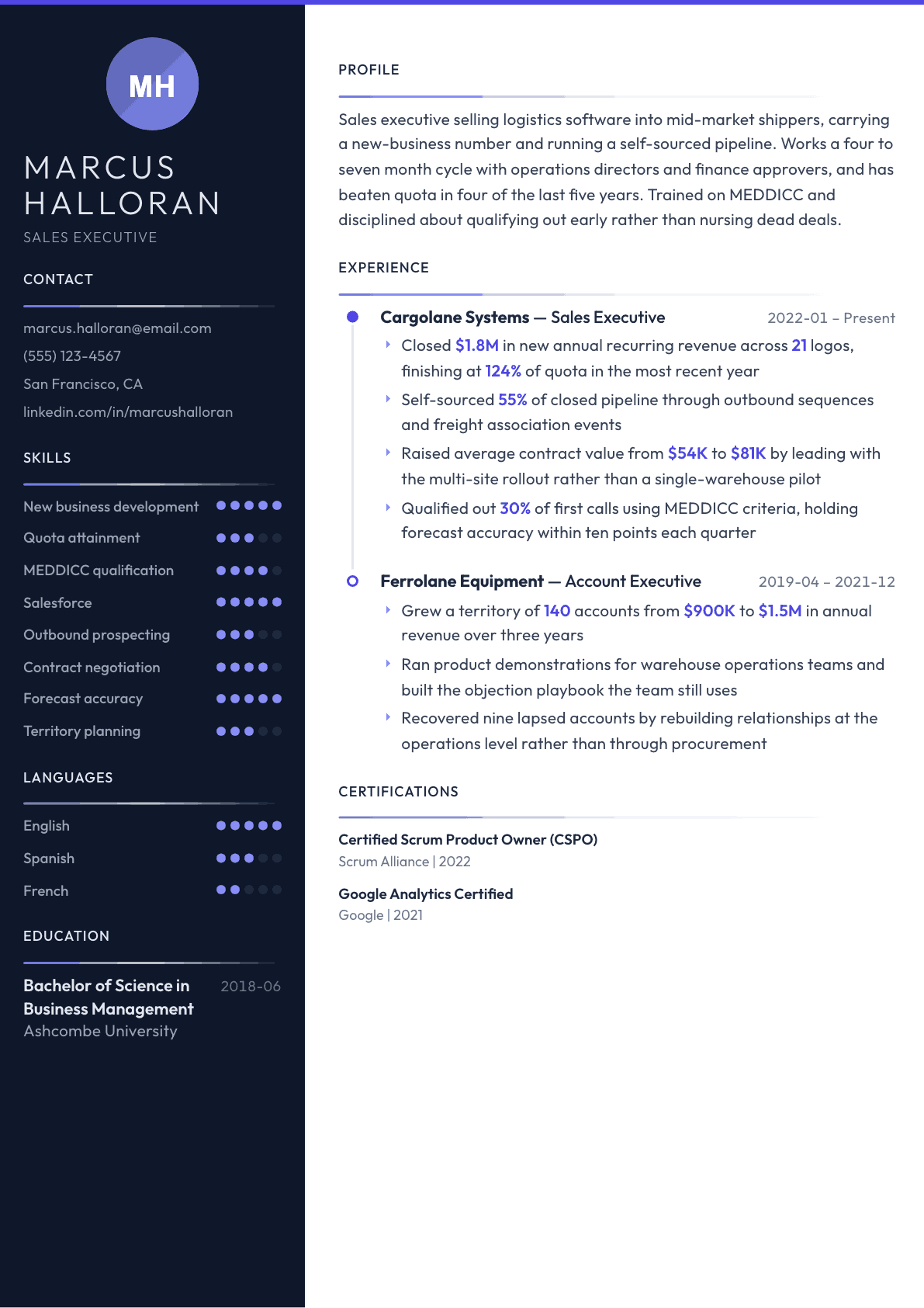 Sales Executive resume example, Zenith template