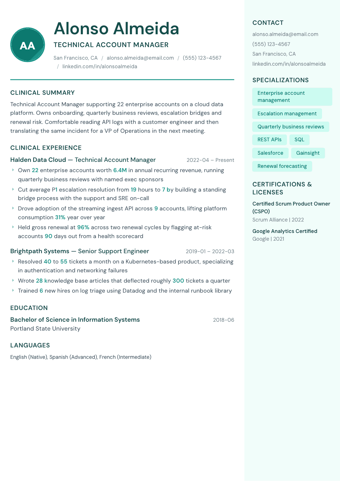 Technical Account Manager resume example, Remedy template