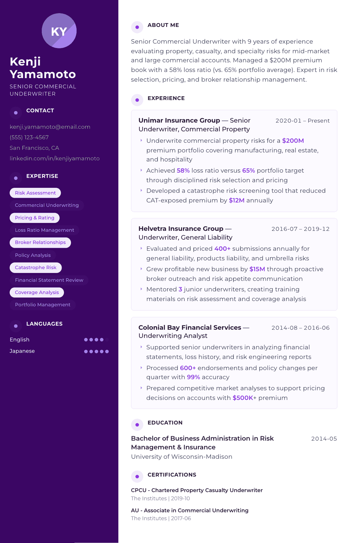 Underwriter resume example, Palette template