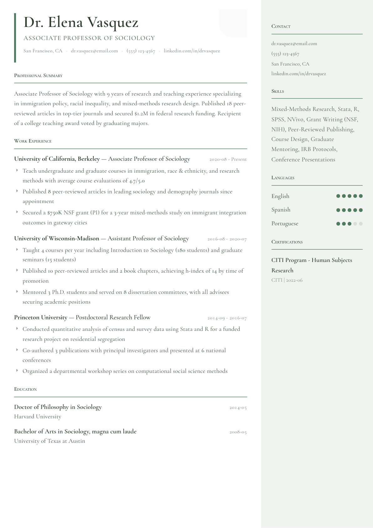 University Professor resume example, Copenhagen template