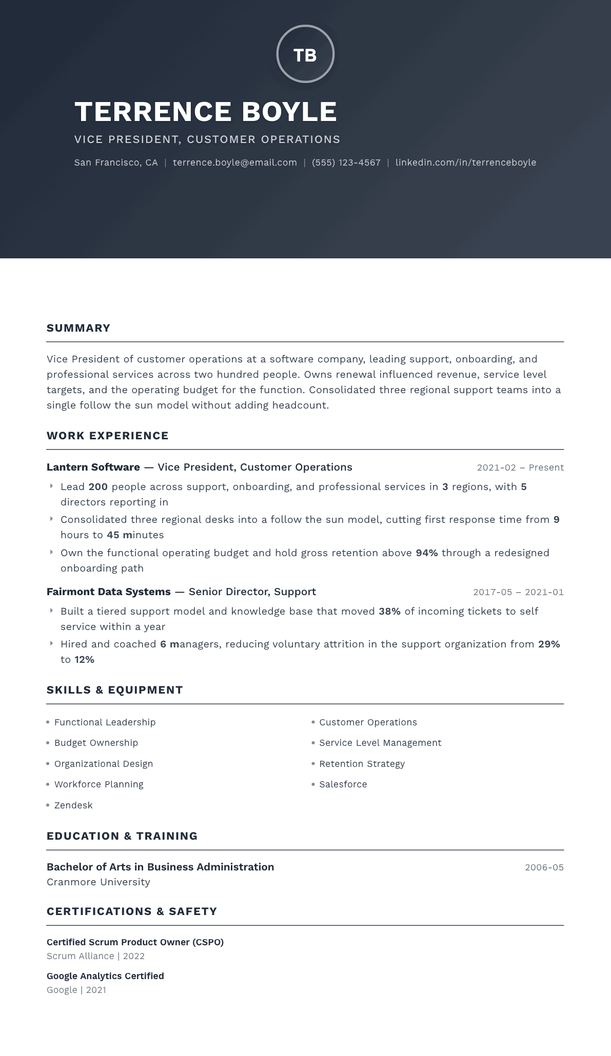 Vice President resume example, Foundation template