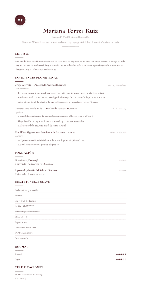 Plantilla de currículum Diplomat