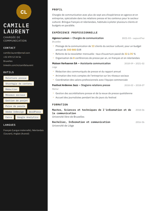 Modèle de CV Neon